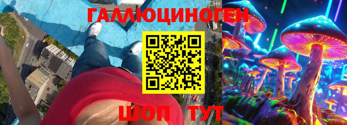Галлюциногенные грибы Psilocybe Златоуст