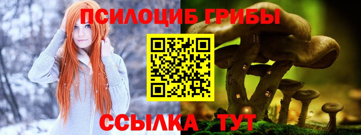 Псилоцибиновые грибы мицелий  Вход с VPN  Златоуст 