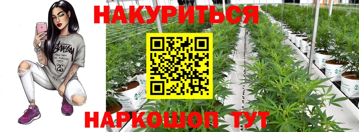 Канабис Bruce Banner Златоуст